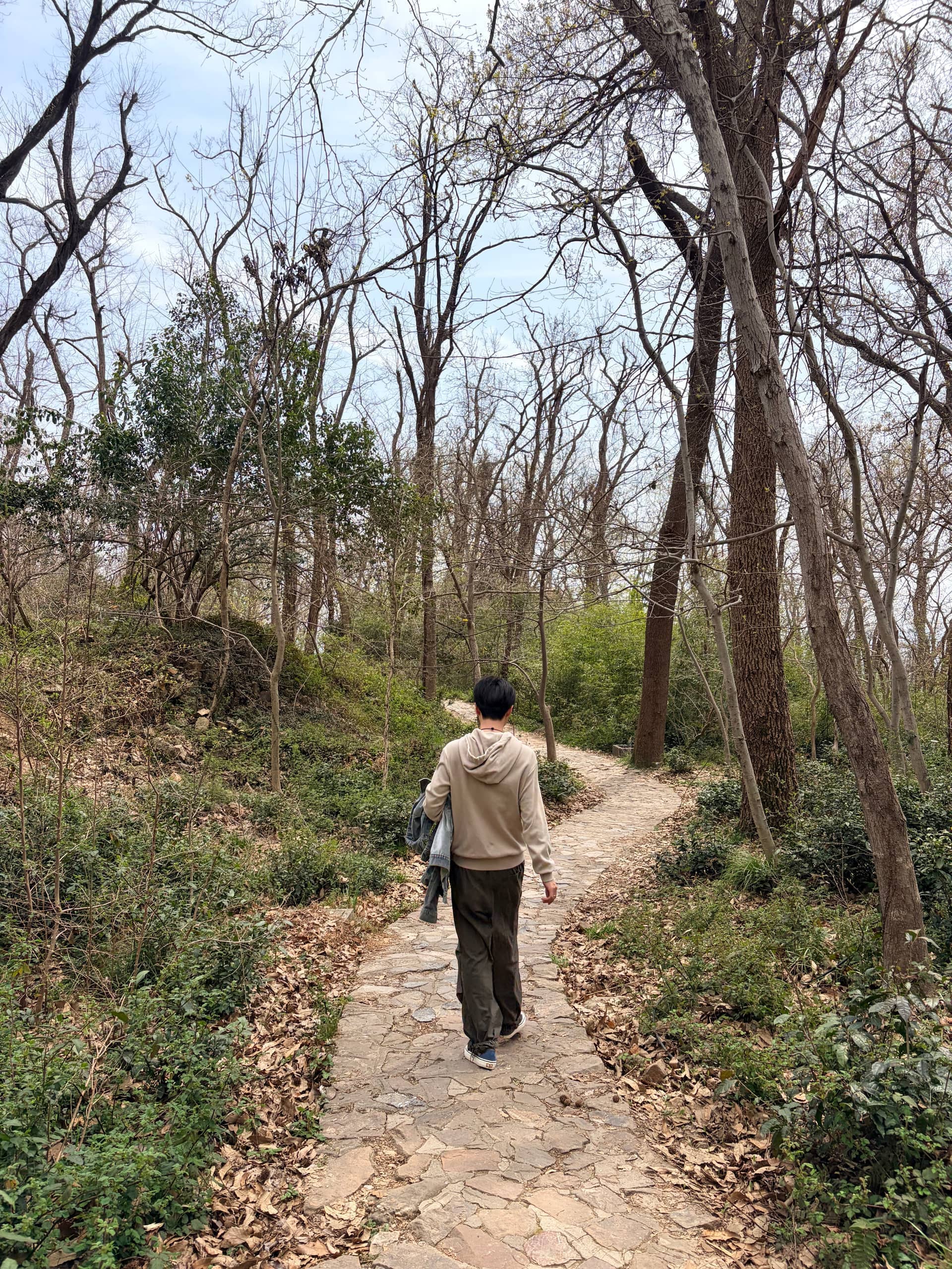紫金山中,尚未遭受石阶折磨,脚步轻快