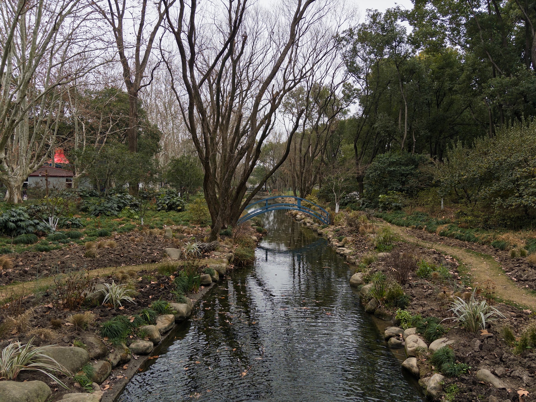 共青森林公园